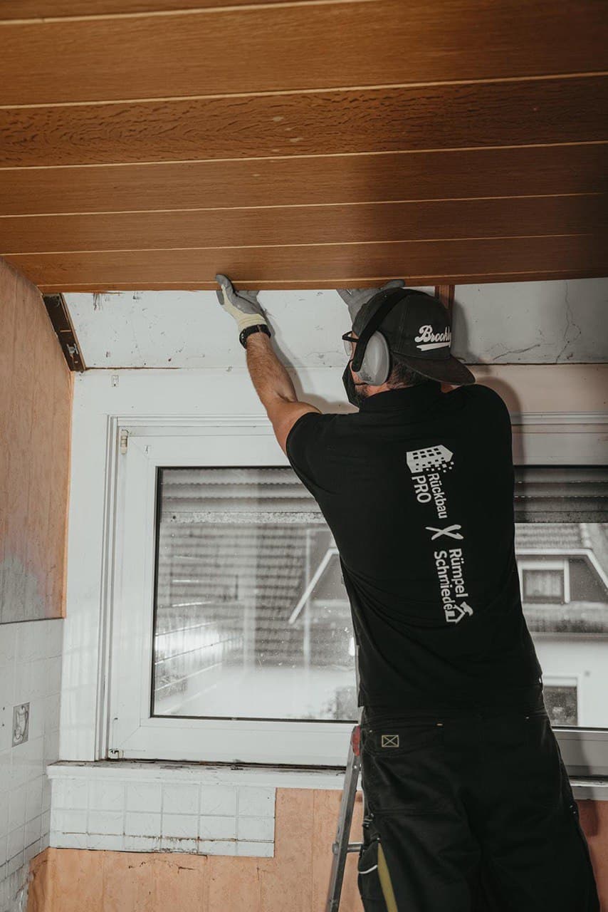 Deckenverkleidung entfernen